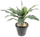 Kunstig Plante Anthurium 80Cm Indvendig Dekoration