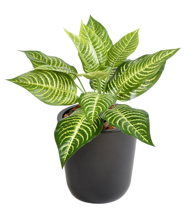 Kunstig Plante Aphelandra 30Cm Til Dekoration