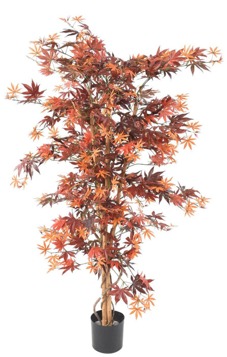Kunstig Plante Aralia Rød 150 Cm Til Indendørs