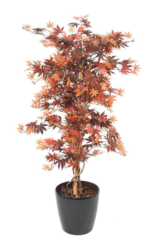 Kunstig Plante Aralia Rød 150 Cm Til Indendørs