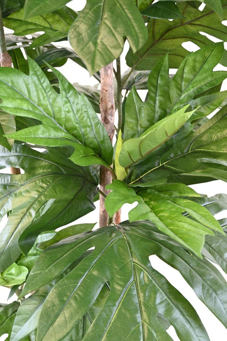 Kunstig Plante Brødfrugt H.200Cm Grøn