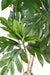 Kunstig Plante Brødfrugt H.200Cm Grøn