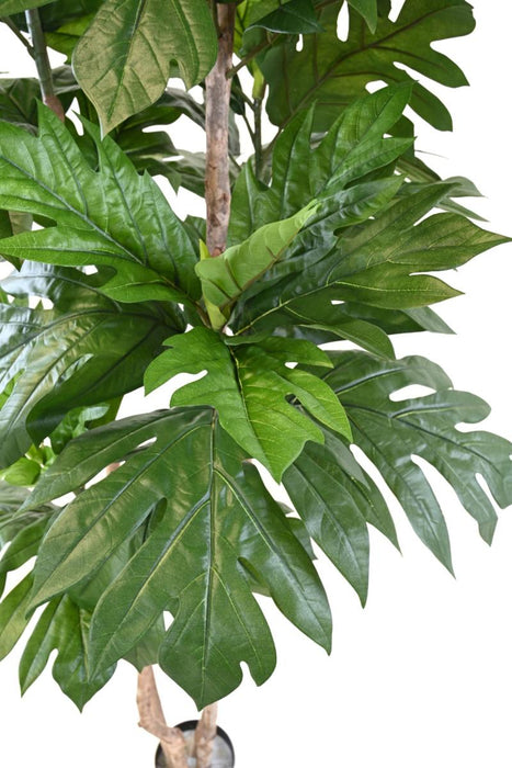 Kunstig Plante Brødfrugt H.200Cm Grøn