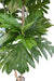 Kunstig Plante Brødfrugt H.200Cm Grøn