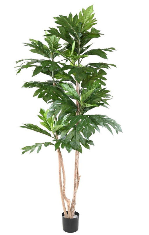 Kunstig Plante Brødfrugt H.200Cm Grøn