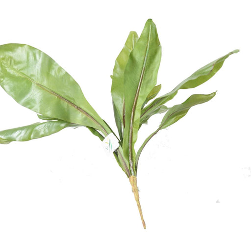 Kunstig Asplenium Plante 45 Cm Til Indendørs