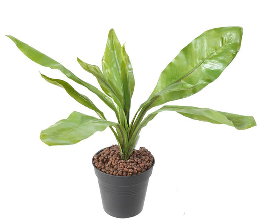Kunstig Asplenium Plante 45 Cm Til Indendørs