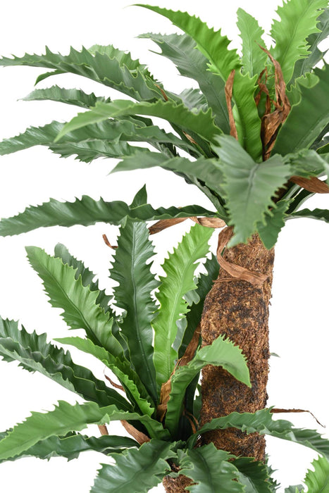 Kunstig Asplenium Plante H130Cm Til Indendørs