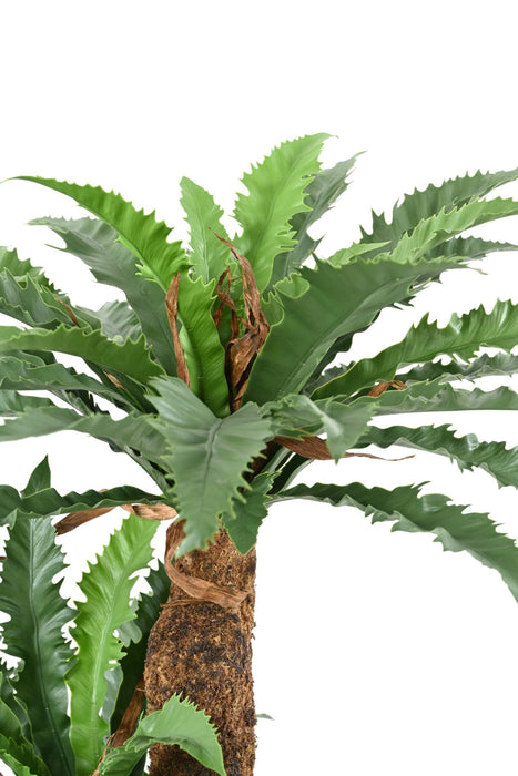 Kunstig Asplenium Plante H130Cm Til Indendørs