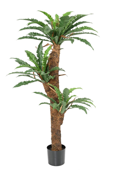 Kunstig Asplenium Plante H130Cm Til Indendørs