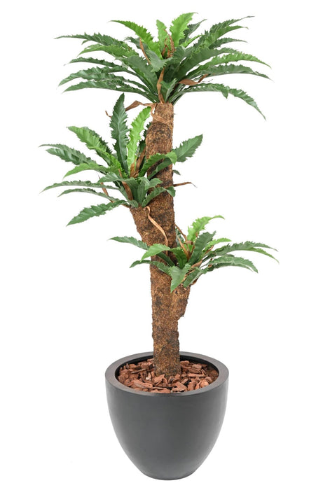 Kunstig Asplenium Plante H130Cm Til Indendørs