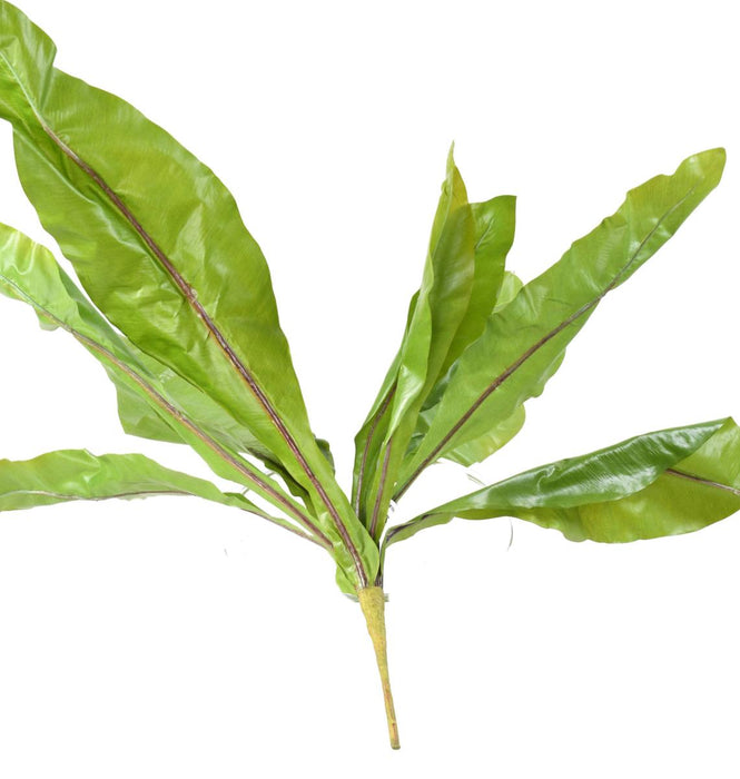 Kunstig Asplenium Plante Indendørs 70Cm Grøn