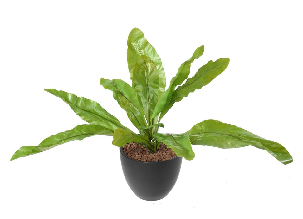 Kunstig Asplenium Plante Indendørs 70Cm Grøn