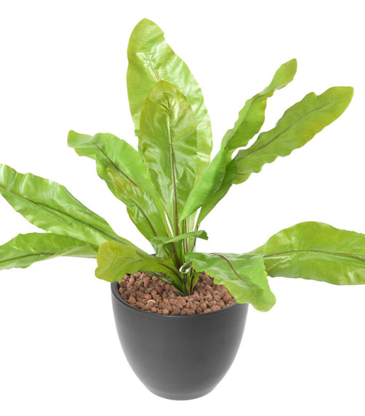 Kunstig Asplenium Plante Indendørs 70Cm Grøn