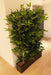 Kunstig Plante Med Bakke Og Hvid Marmorfinish