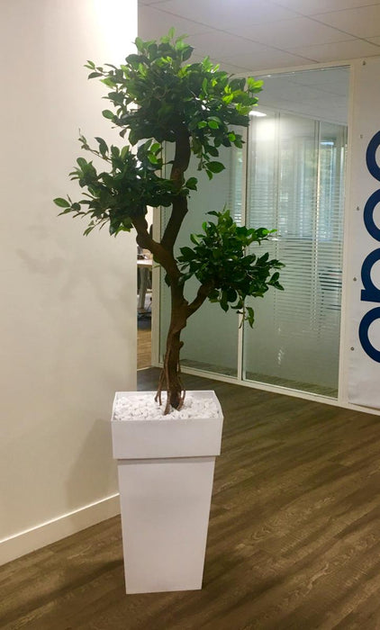 Kunstig Plante Med Bakke Og Hvid Marmorfinish