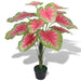 Kunstig Plante Med Pot Caladium 85 Cm Grøn Og Rød