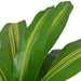 Kunstig Plante Med Potte Dracaena 90 Cm Grøn