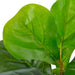 Kunstig Plante Med Grønne Figenblade Potte 45 Cm