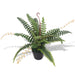 Kunstig Plante Med Bregnepotte 50 Cm Grøn