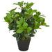 Kunstig Plante Med Grøn Laurbærpotte 40 Cm