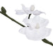 Kunstig Plante Med Orkidépotte 30 Cm Hvid
