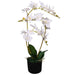 Kunstig Plante Med Orkidépotte 65 Cm Hvid