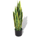 Kunstig Plante Med Sansevière Potte 65 Cm Grøn