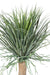 Kunstig Plante Beaucarnea Elefantfod 116Cm