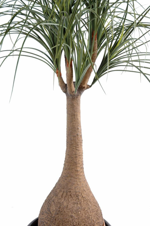 Kunstig Plante Beaucarnea Elefantfod 125Cm