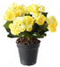 Kunstig Plante Gul Begonia På Pæl 20 Cm
