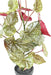 Kunstig Plante Begonia Maculata 70Cm Grøn Rød