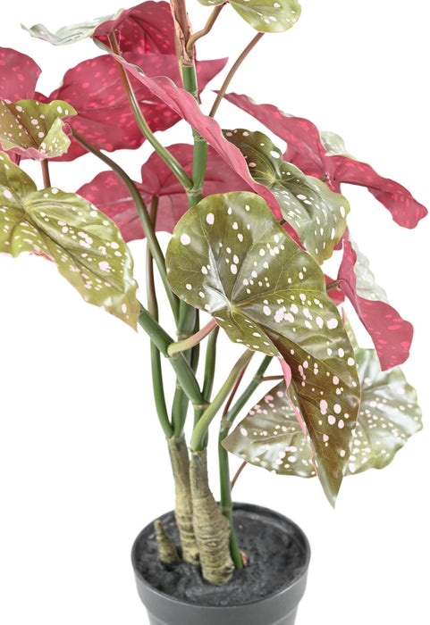 Kunstig Plante Begonia Maculata 70Cm Grøn Rød