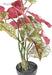 Kunstig Plante Begonia Maculata 70Cm Grøn Rød