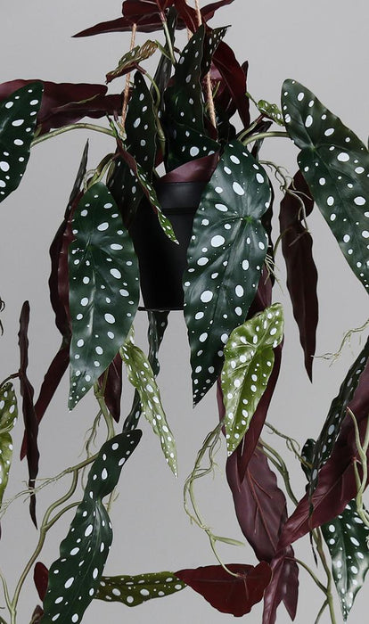 Kunstig Plante Begonia Muculata Hængende 90Cm