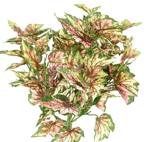 Kunstig Plante Begonia Rex 37 Cm Broget