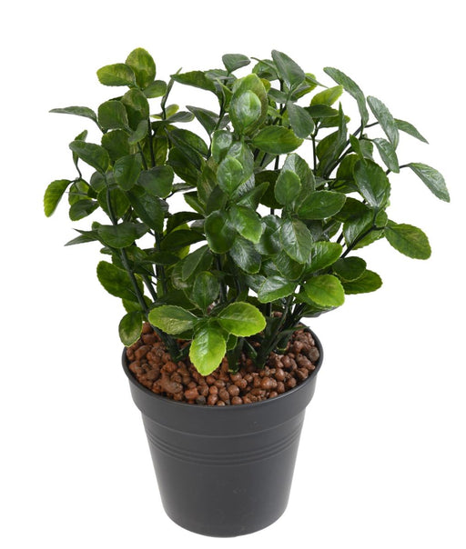 Kunstig Berberis Plante Indendørs Udendørs 28Cm