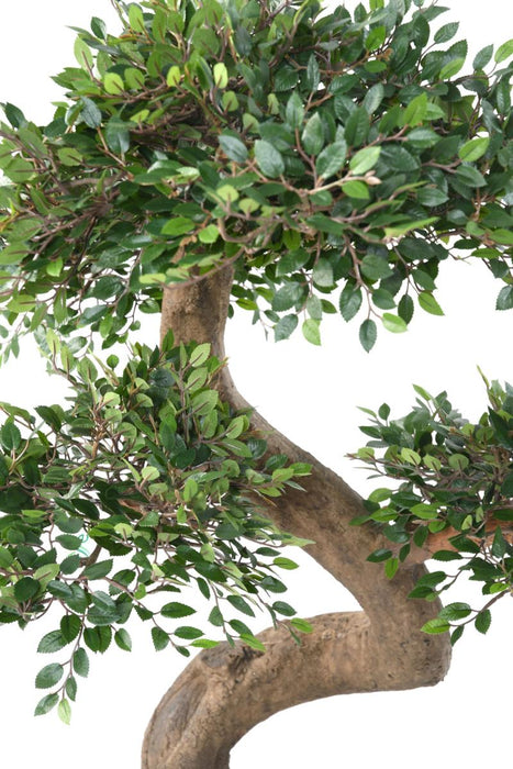 Kunstig Plante Bonsai Elm 90 Cm Indvendig Dekoration