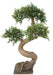 Kunstig Plante Bonsai Elm 90 Cm Indvendig Dekoration