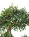 Kunstig Plante Bonsai Elm 90 Cm Indvendig Dekoration