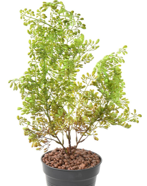 Kunstig Plante Buxus Stake 50Cm Mørkegrøn