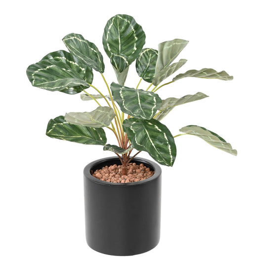 Kunstig Plante Calathea 19 Blade H.55Cm