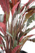 Kunstig Calathea Plante 85Cm Grøn Rød Dekorativ