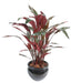 Kunstig Calathea Plante 85Cm Grøn Rød Dekorativ