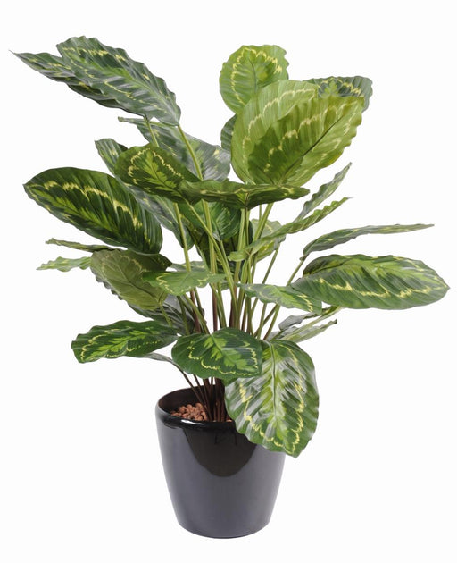 Kunstig Plante Calathea Roseopicta 70Cm Grøn