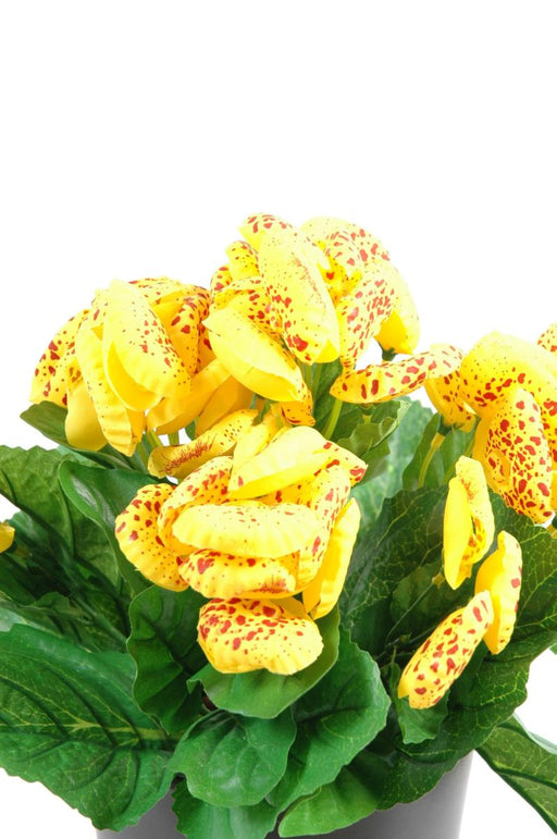Kunstig Calceolar Plante Gul 30 Cm