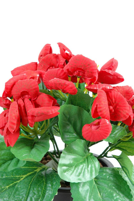Kunstig Calceolar Plante Rød H.30 Cm