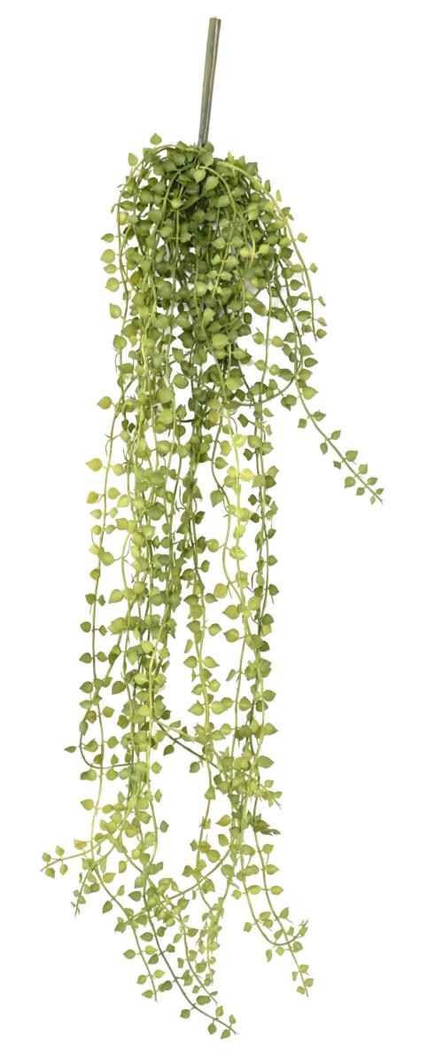 Kunstig Plante Callisia 55 Cm Grøn Til Indendørs
