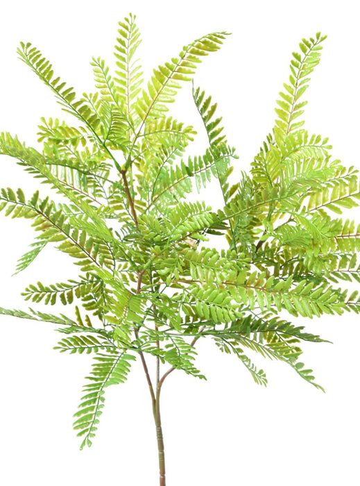 Kunstig Plante Cassia H.75Cm Indendørs Udendørs