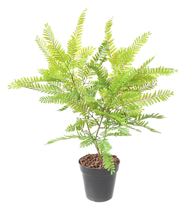 Kunstig Plante Cassia H.75Cm Indendørs Udendørs